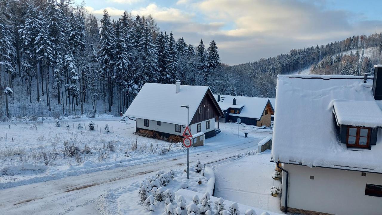 Iva Appartement Černý Dŭl